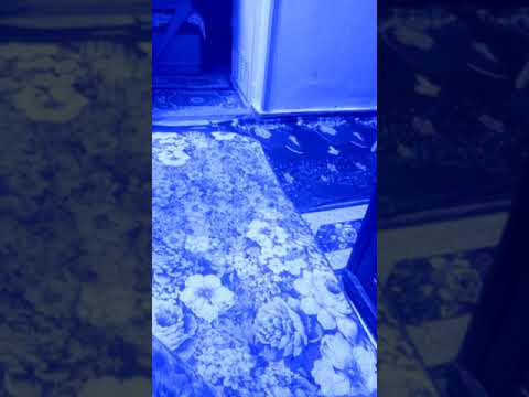 ٦ سبتمبر ٢٠١٨