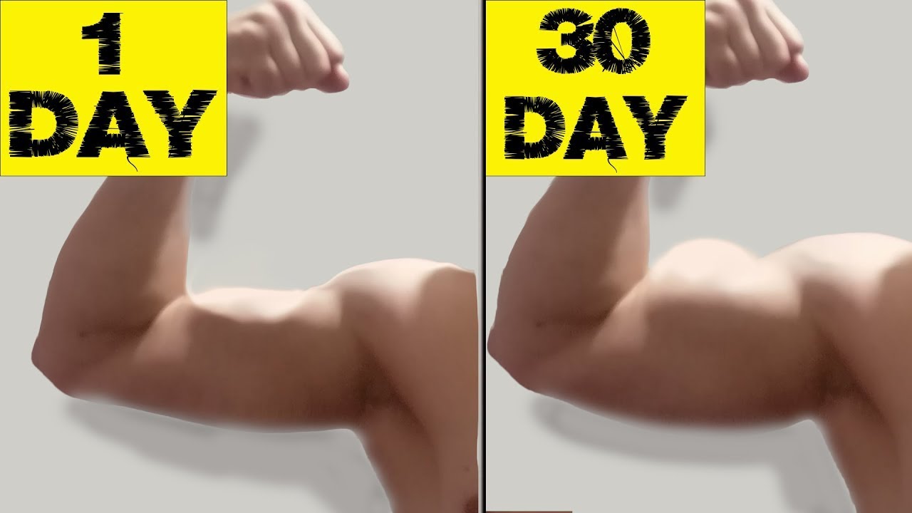 Build Big Arms in 30 Days | Home Workout - YouTube