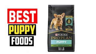✅Top 5 Best Puppy Foods for Growing Dogs in 2024