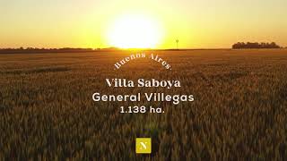 General Villegas , Buenos Aires 1138 ha