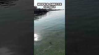 Море В Одессе 26.10.2025 – Тёплая Вода, Пляж, Погода Сегодня, Последние Дни Лета 🌊☀️ 1