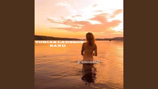 Vídeo de Sommarbild