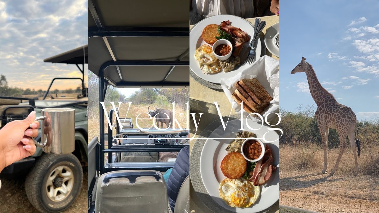 Weekly vlog | Spend 48 hours with us at Mongena Private lodge for a Game Drive | Sho’tleft