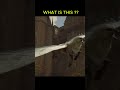 WHAT IS THIS
