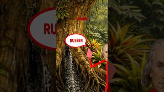 The Invention Of Rubber