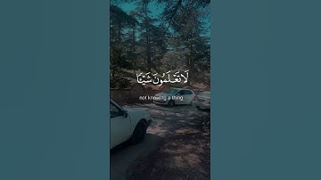 #قران_كريم #اكسبلور #تلاوة_خاشعة #اللهم_صل_وسلم_على_نبينا_محمد #راحة_نفسية #لايك #متابعه #فارس_عباد