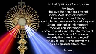 Divine Mercy Parish, Rahway NJ , 1ST SUNDAY OF LENT FEB/22/2026