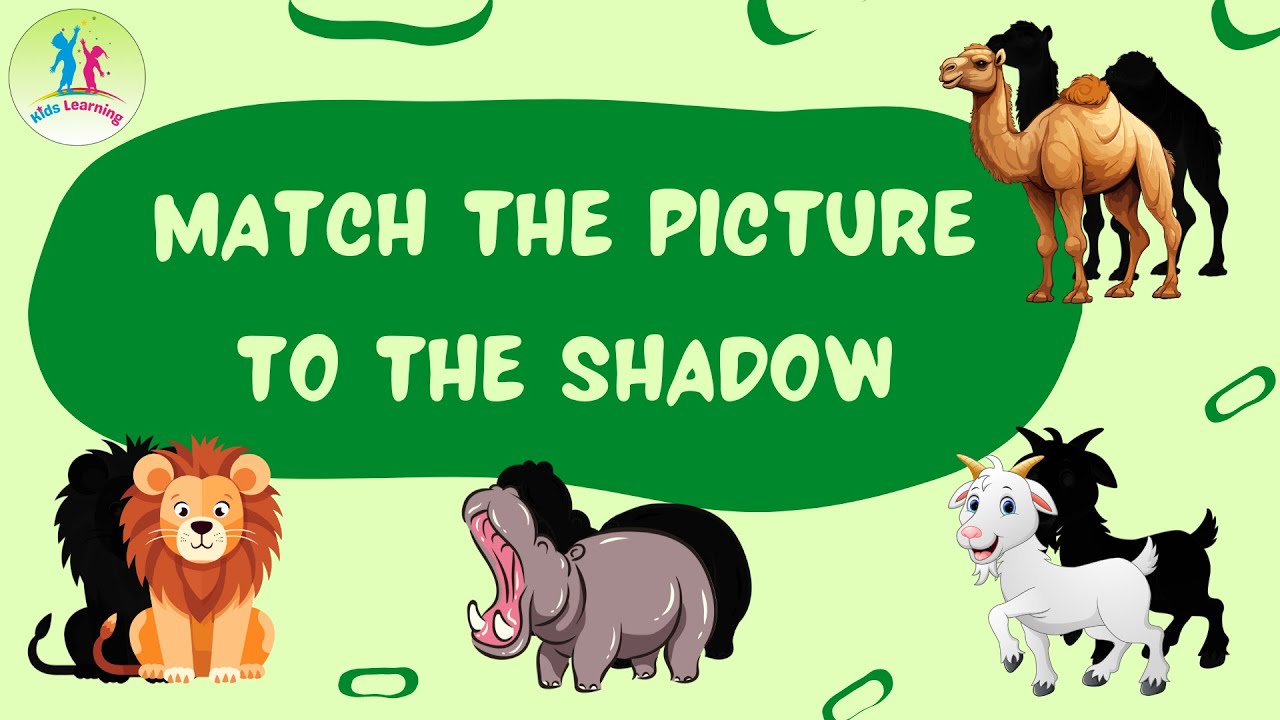 Match the Picture to the Shadow 🌟 Fun Learning Activity - YouTube
