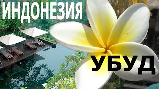 Страна ОС. остров Бали, городок Убуд.