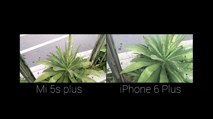 So sánh ảnh chụp iphone 6 plus và 6s plus năm 2024