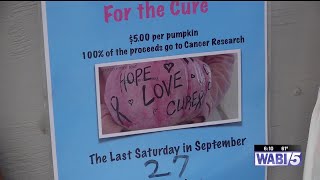 Pink pumpkins being sold in Palmyra to support cancer research