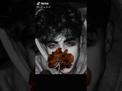 مقاطع ابو يزن الادلبي 