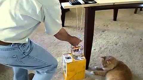 Specific Gravity Test || Gold in Quartz Calculation || Gold Vlog Sell || The Gold Vlog