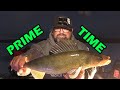 Fishing walleyes in the dark  prime time
