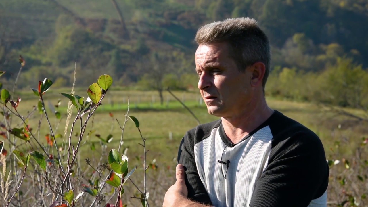 Dolina aronije u Velikoj Kladuši