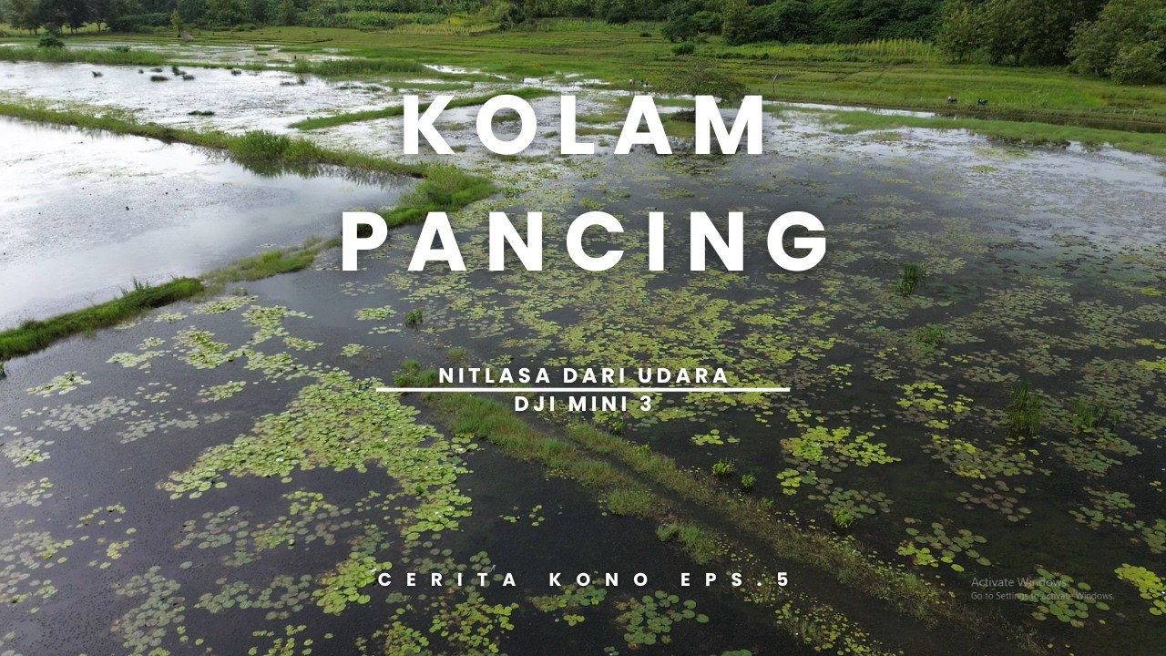 KOLAM PANCING NITLASA