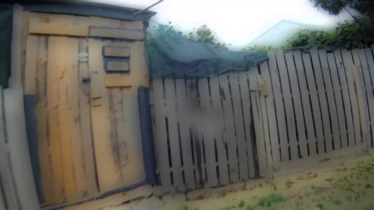 Short trip in the garden