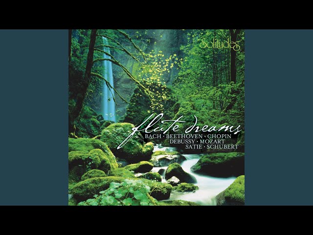 Dan Gibson - Raindrops & Rainbows (Chopin)