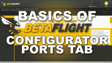 Basics of Betaflight - The Ports Tab