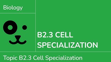 B2.3 Cell Specialisation [IB Biology SL/HL]