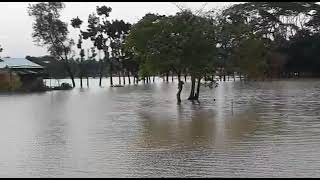 Sylhet Floods Update | Flood In Bangladesh | Sylhet Before And After |
