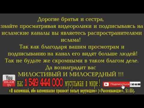 Аят Аль-си - MuslimClub Беременная, екатерина, вуличенко показала фигуру в купальнике - 7Дней