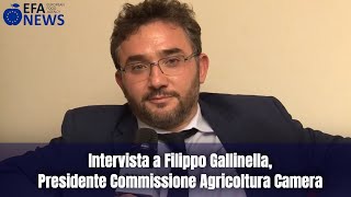 Il presidente della Commissione Agricoltura alla Camera dei deputati illustra ad EFANEWS gli obiettivi prefissati per il settore agricolo italiano, con un occhio all'export e all'Europa Intervista a Filippo Gallinella, Presidente Commissione Agricoltura Camera