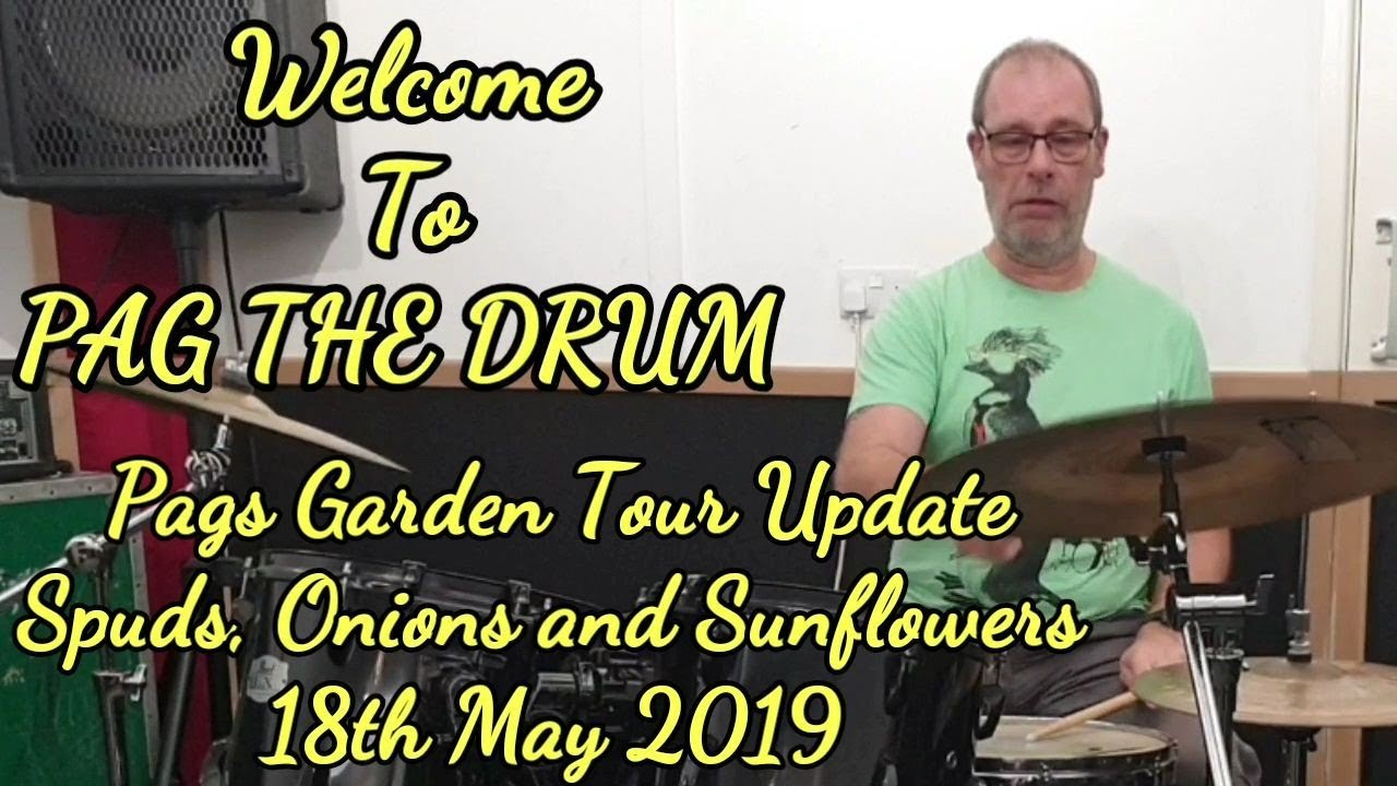 #Sunflowerchallenge2019