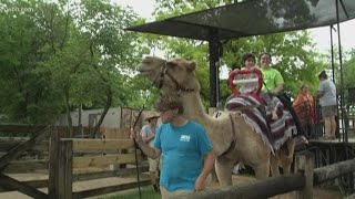 Zoo Knoxville hosts moms for free