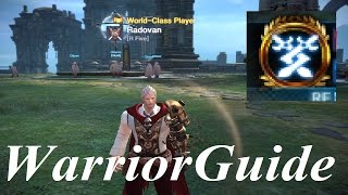 Tera human warrior idle