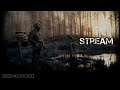 Stream | ЯШКА И КИСЛЫЙ | КТО В ИТОГЕ КРЫСА ? | DayZ RP Stalker #11