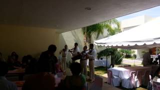 Mariachi internacional fiesta en jalisco