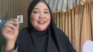 RANCANGAN PENGAJARAN HARIAN ECC2033
