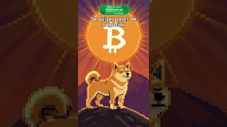 Promo "100X2PT19" Pocket Broker em Marte? 🚀 #trading #crypto