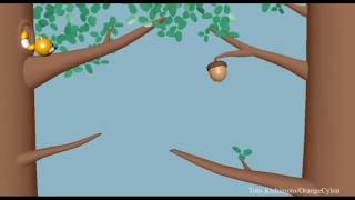 Squirrel Animation