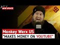 How much monkey werx us get paid from youtube