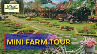 #MasaganangBuhay | Tour sa Pampanga grapes and strawberry farm