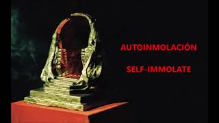 King Gizzard &amp; The Lizard Wizard - Self-Immolate (sub/lyrics)