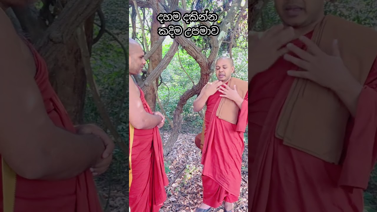 දහම දකින්න කදිම උපමාව 