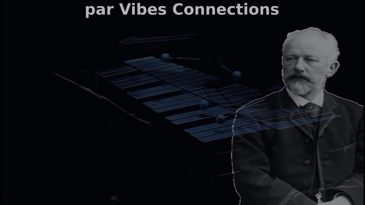 Barcarolle (juin) de Tchaïkovski par Vibes Connections