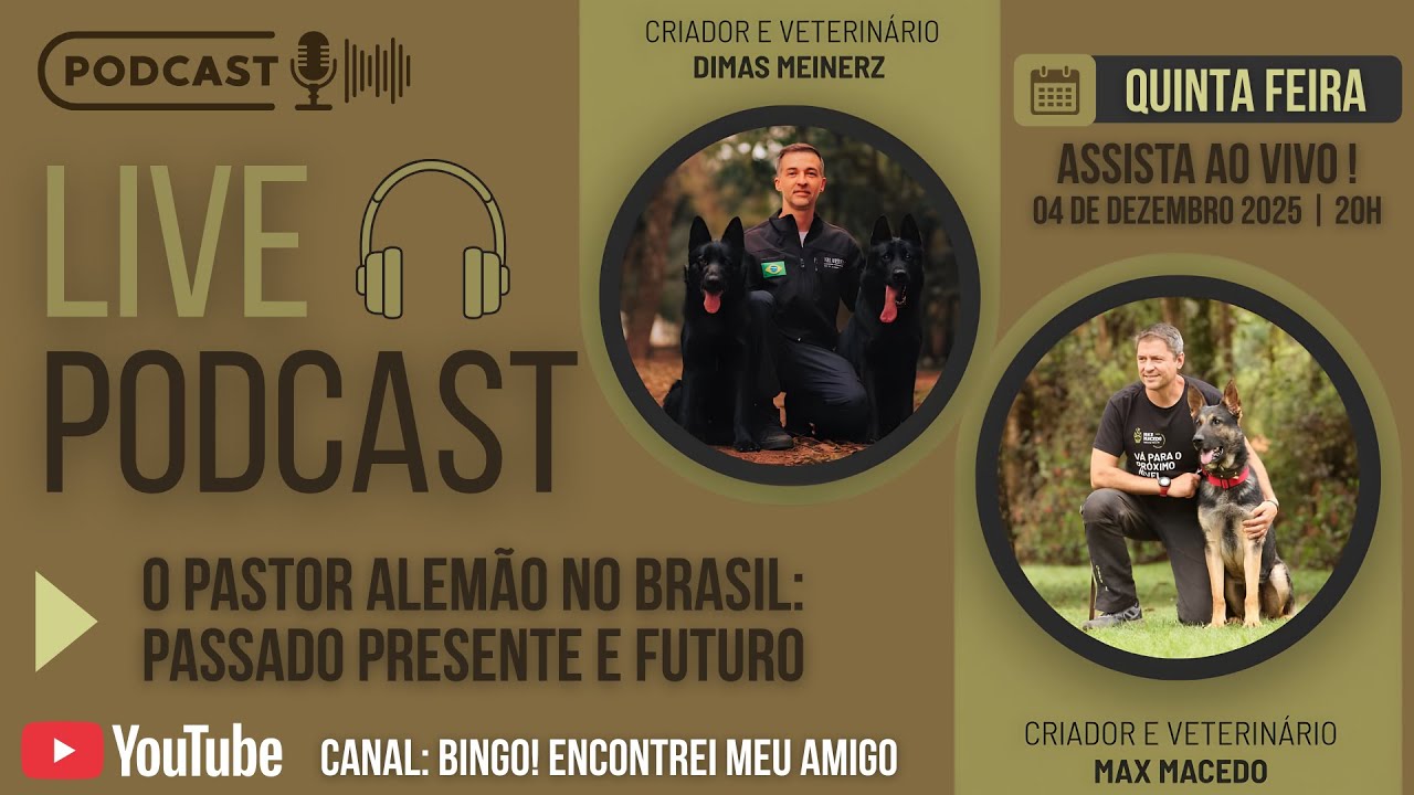 O PASTOR ALEMÃO NO BRASIL: PASSADO PRESENTE E FUTURO COM  Dimas Meinerz e Max Macedo