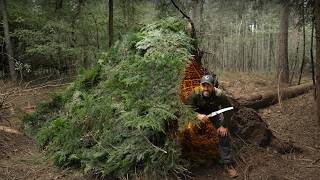 Building & Camping in Tree Root Bushcraft Shelter