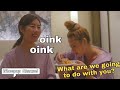 Things Mamamoo say that seem like fake subs for no moomoos