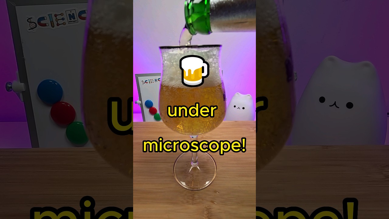 BEER under Microscope