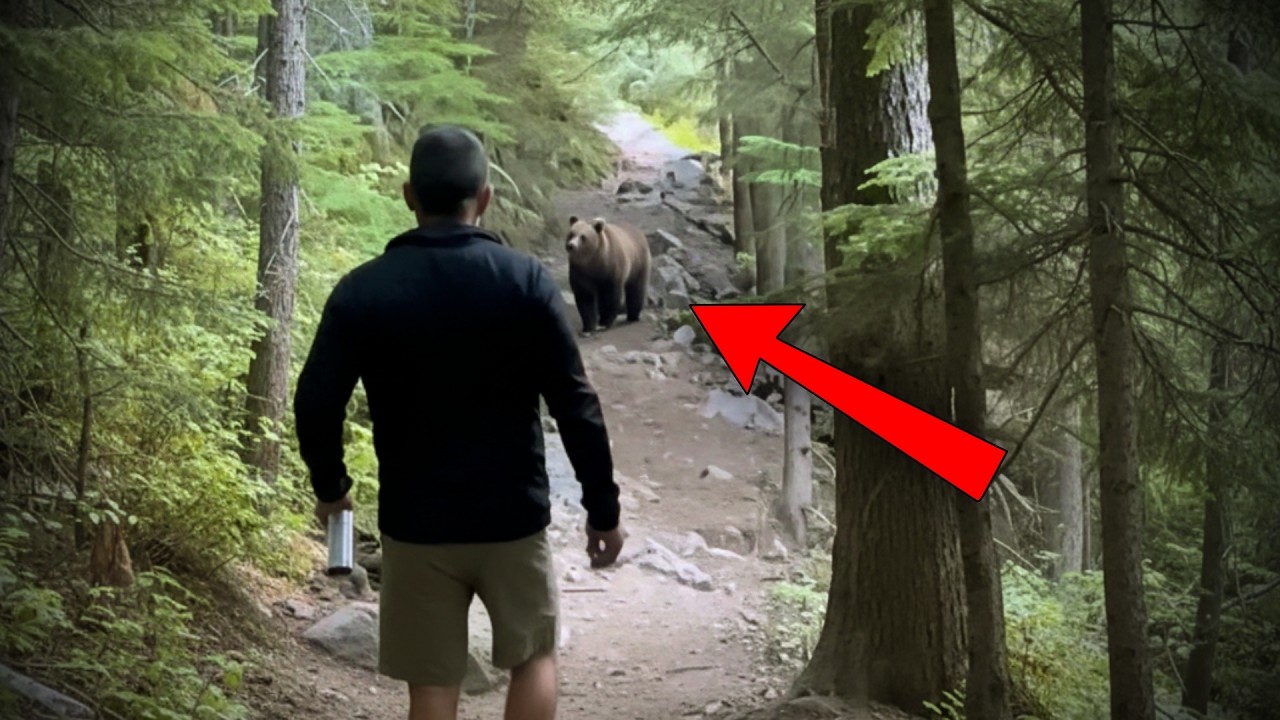 Una Noche en el Bosque… y Jamás Volvieron a Acampar