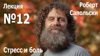 Лекция №12. Роберт Сапольски - «Стресс и боль»