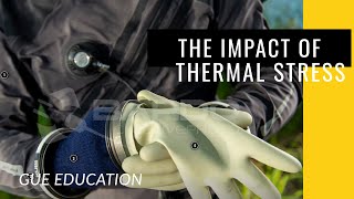 How to Maximise Dive Safety: The Impact of Thermal Stress