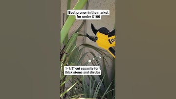 This little pruner is a beast! #dewalt