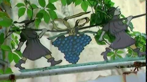 Discover the Wines of Bordeaux