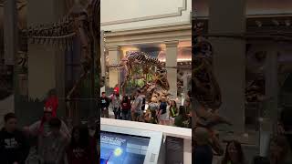 Smithsonian National History Museum #2026 #dothingsyoudontwanttodo #hunting #news #dinosaur #fossil